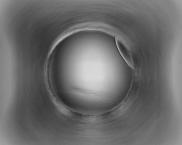 X0000113991530200910091328