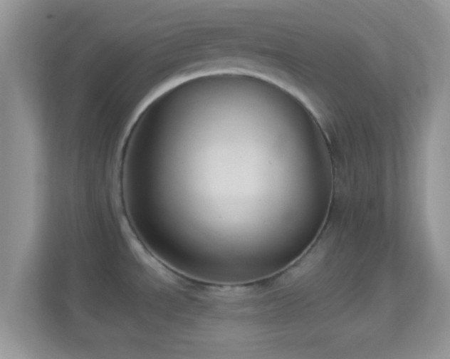 X0000113991534200910091328