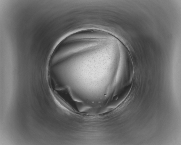 X0000113991535200910091328