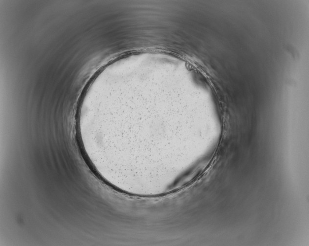 X0000113990002200910161657