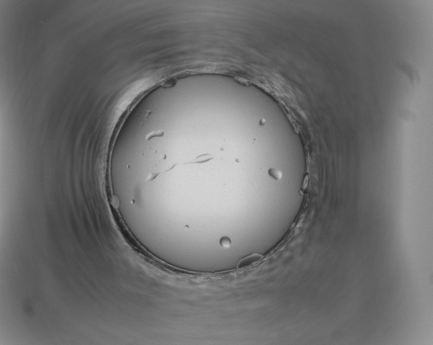 X0000113990003200910161657