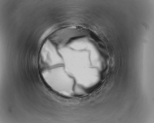 X0000113990004200910161657