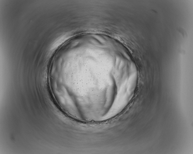 X0000113990005200910161657