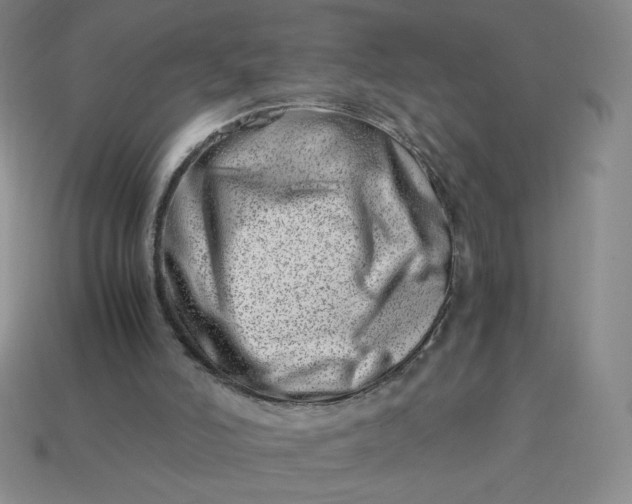 X0000113990006200910161657