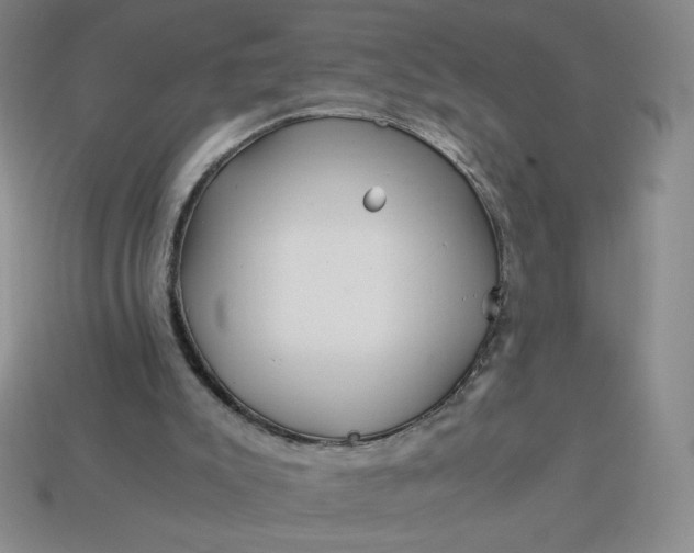 X0000113990007200910161657