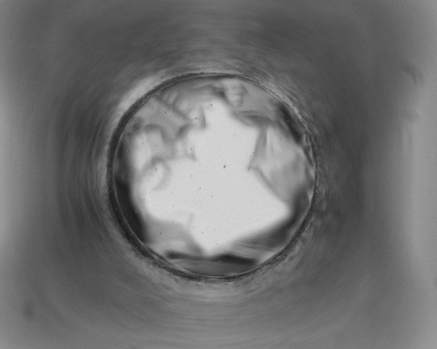 X0000113990008200910161657