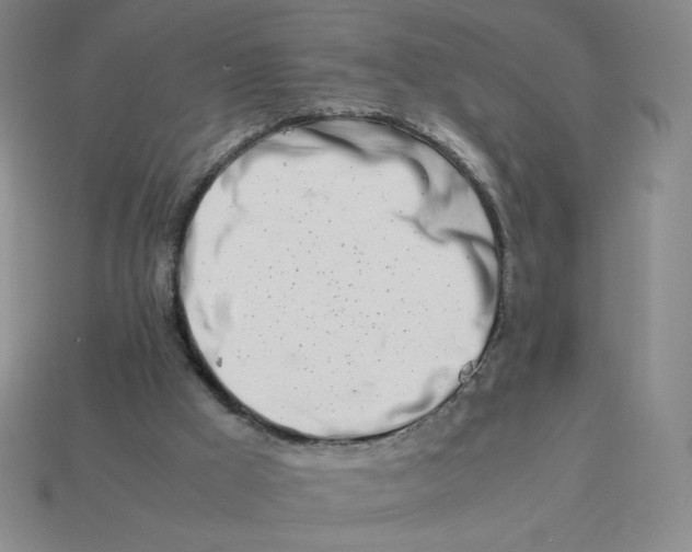 X0000113990009200910161657