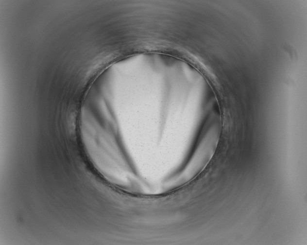 X0000113990010200910161657