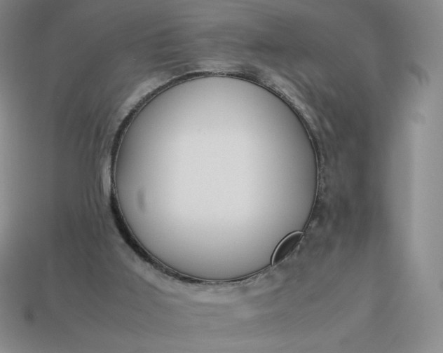 X0000113990011200910161657