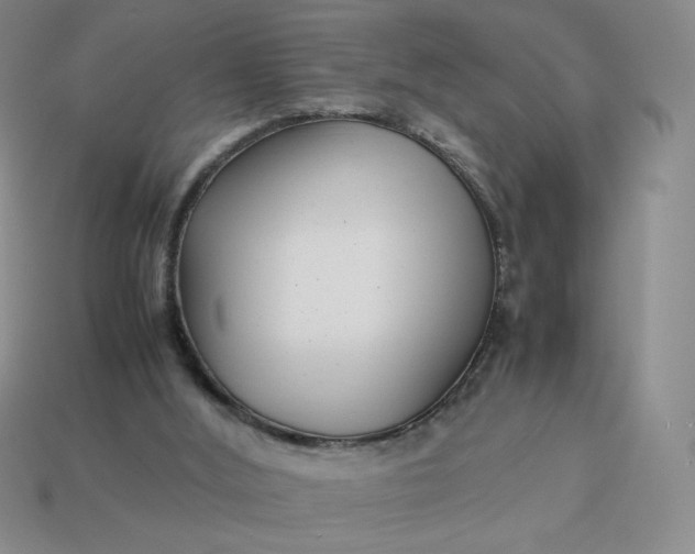 X0000113990012200910161657