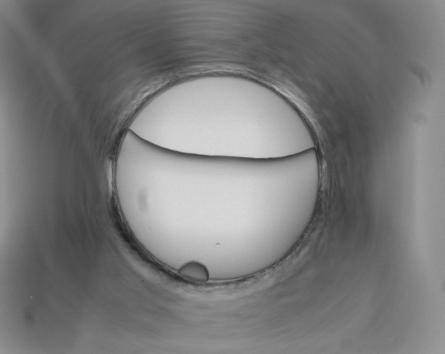 X0000113990013200910161657