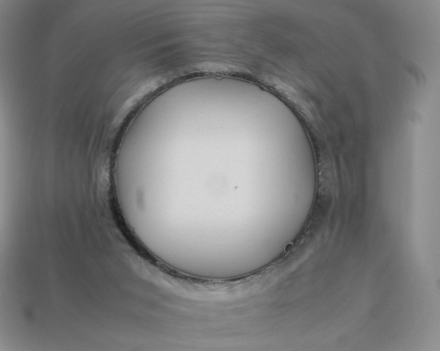 X0000113990015200910161657