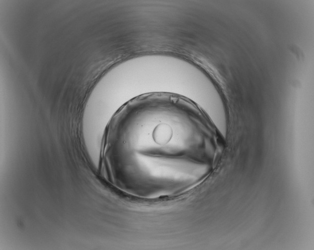 X0000113990017200910161657