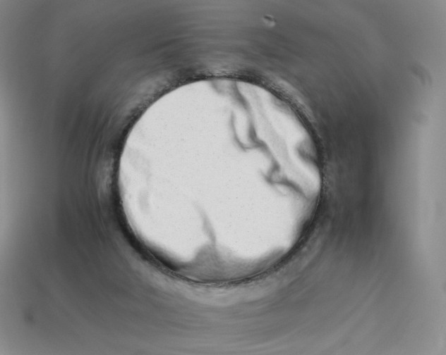 X0000113990018200910161657