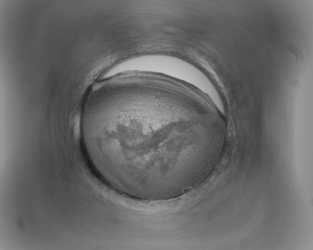 X0000113990019200910161657