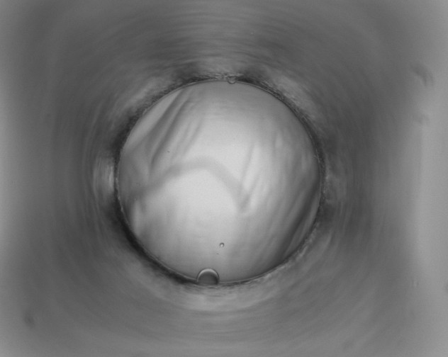 X0000113990021200910161657