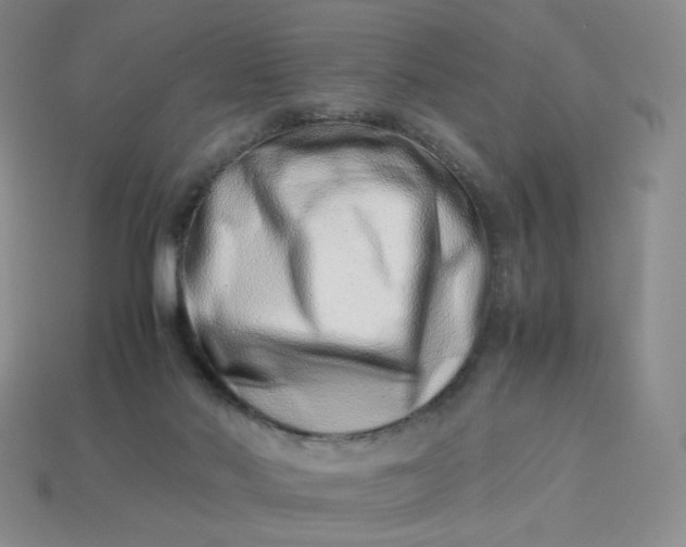 X0000113990022200910161657