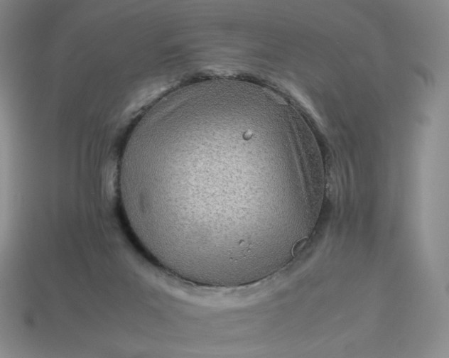 X0000113990023200910161657