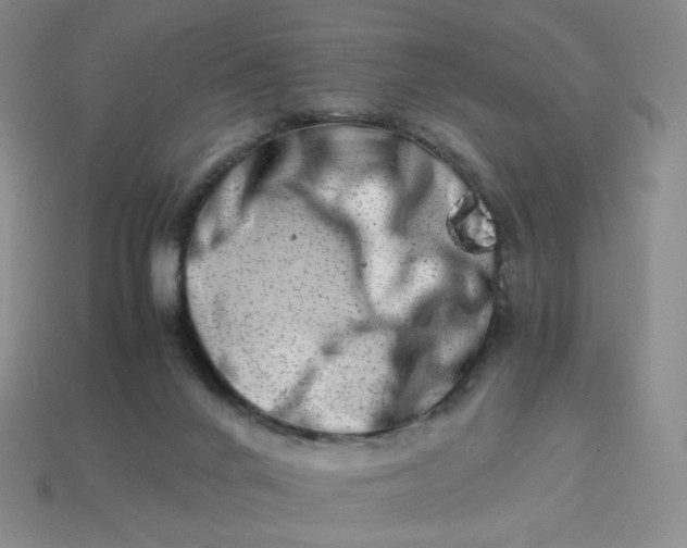 X0000113990024200910161657