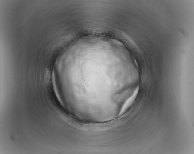 X0000113990025200910161657