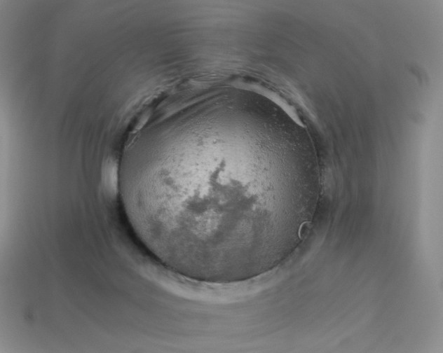 X0000113990027200910161657