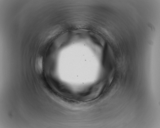 X0000113990028200910161657