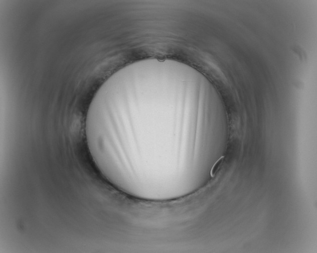 X0000113990029200910161657