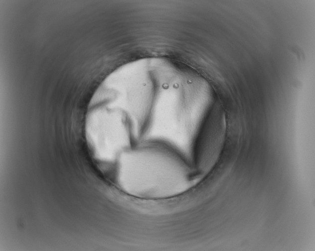 X0000113990030200910161657