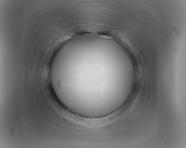 X0000113990031200910161657