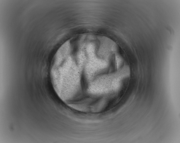 X0000113990032200910161657