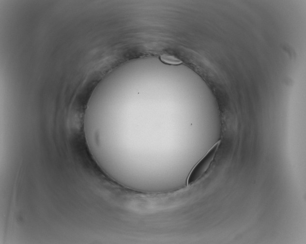 X0000113990033200910161657