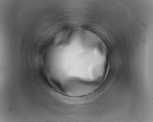 X0000113990034200910161656