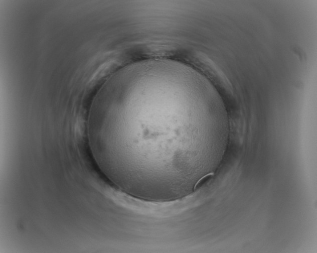 X0000113990035200910161656