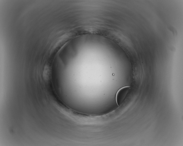 X0000113990036200910161656