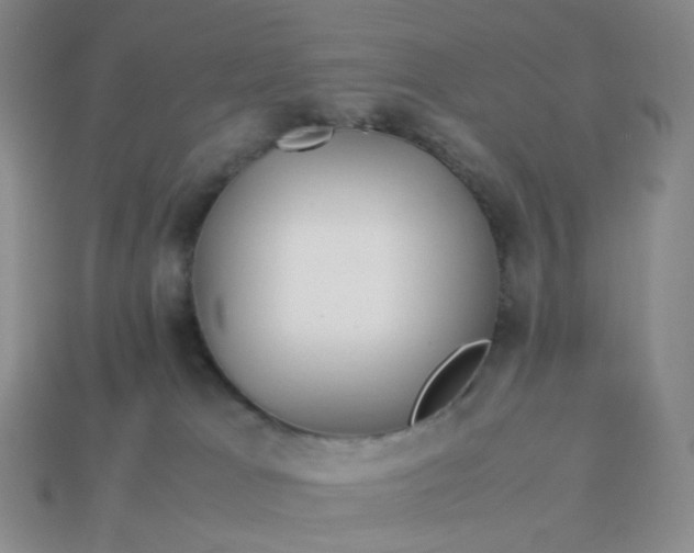 X0000113990037200910161656