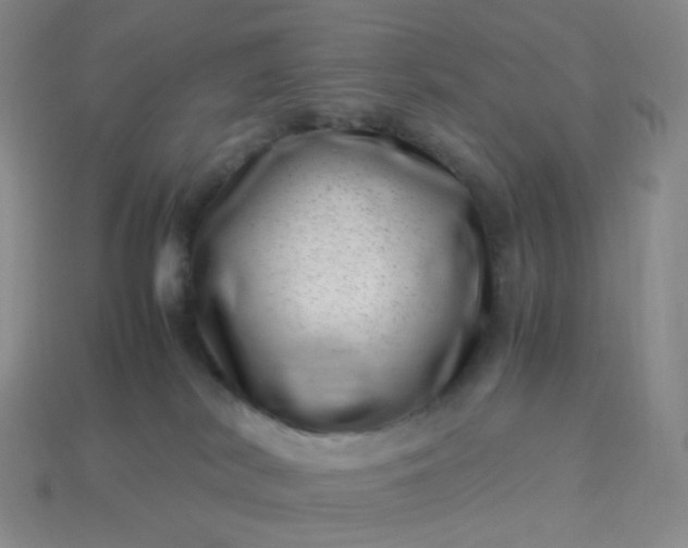 X0000113990038200910161656