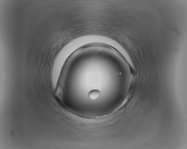 X0000113990039200910161656