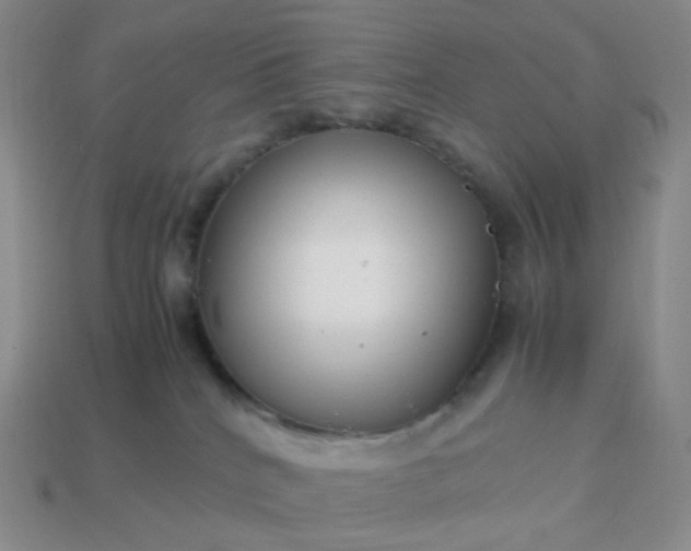 X0000113990040200910161656