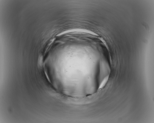 X0000113990041200910161656