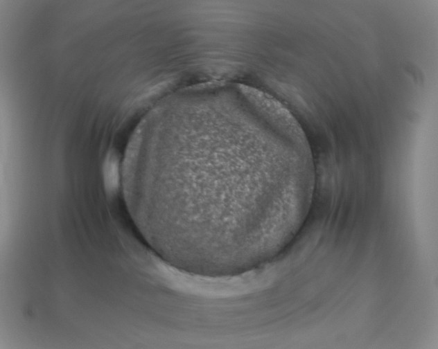 X0000113990042200910161656