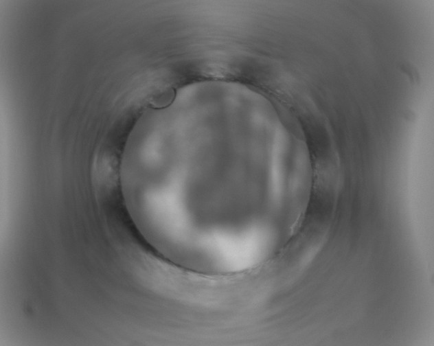 X0000113990043200910161656