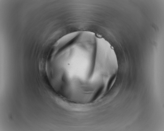 X0000113990044200910161656