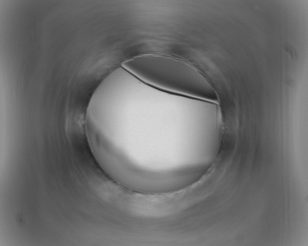 X0000113990045200910161656