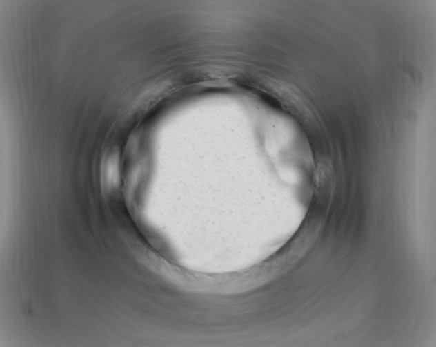 X0000113990046200910161656