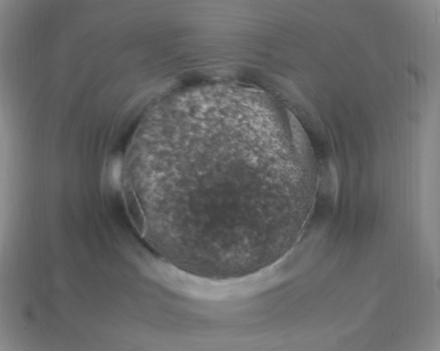 X0000113990047200910161656