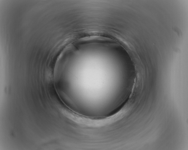 X0000113990048200910161656