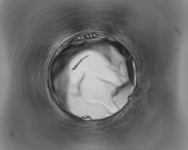 X0000113990049200910161656