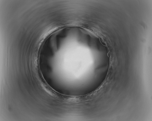 X0000113990050200910161656