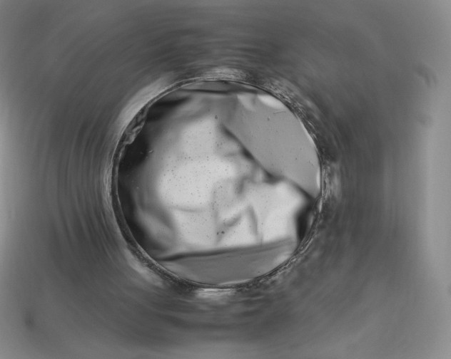 X0000113990051200910161656