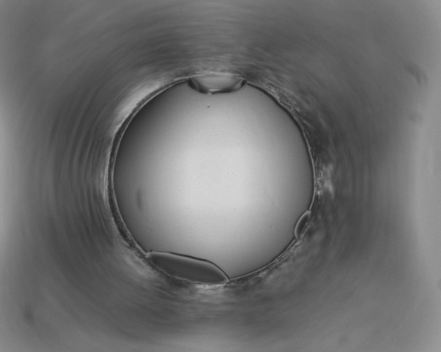 X0000113990052200910161656